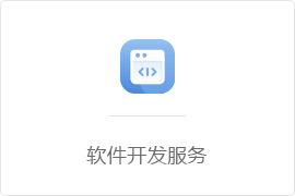 网站/APP开发-软件开发服务